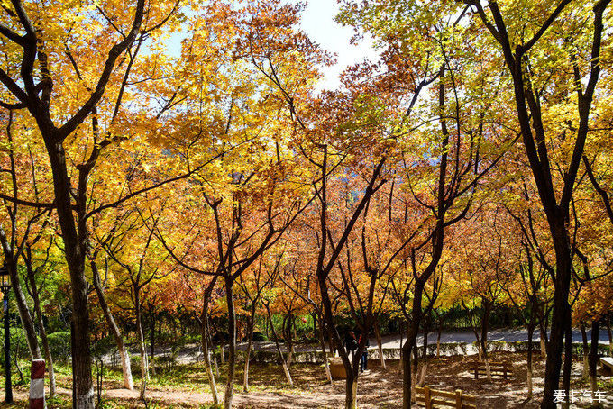 红遍万山的红叶谷【2020热门旅游景点】