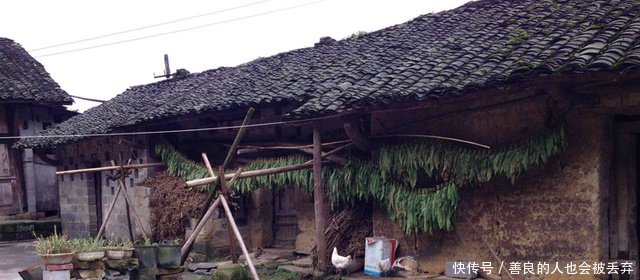 宅基地新政，农民放弃宅基地就可得到这三大补偿，补贴力度真大！