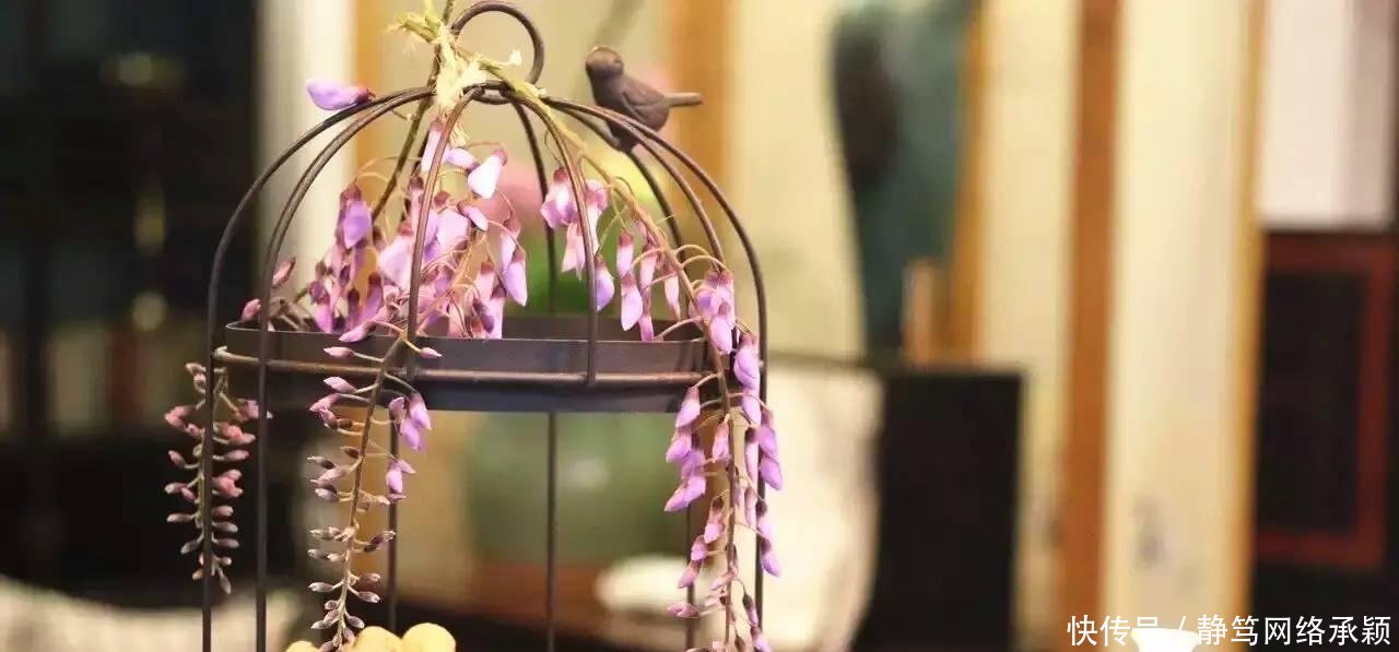 这座低调小城承包了浙江最美的春天, 清明去过两三天乡下生活~