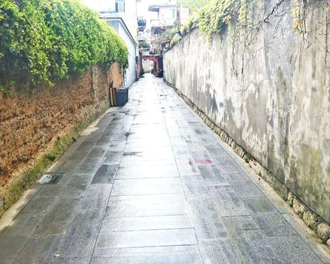 长乐美丽乡村:寻一方村落,等风也等你