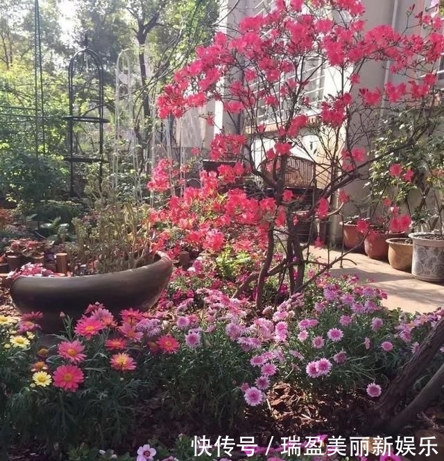 「平方」有了30平方的小院,能将日子过成了诗?简单而精致,优雅而从容!