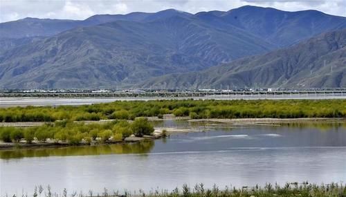  「防护林」荒漠变绿洲 穷乡变富地
