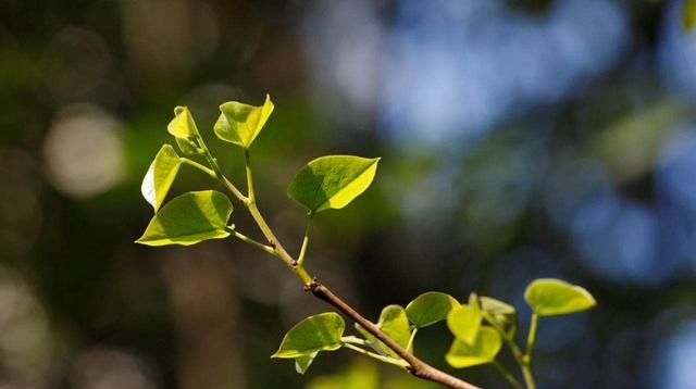 『合适』“妈,你才54岁,再找个老伴吧?”母亲的回答很现实,也无奈