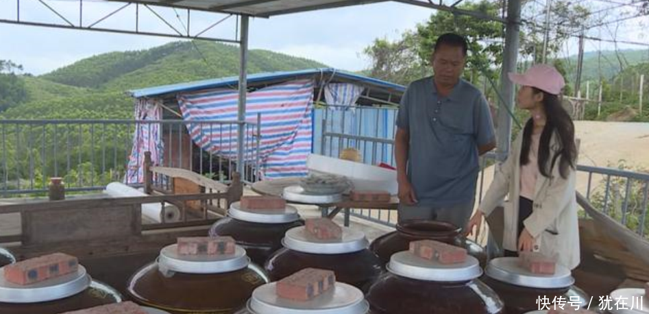 这种植物浑身是宝，煲汤放一把胜似人参，能卖 60、70元钱一斤！