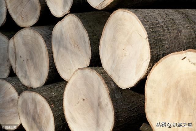 同样是木结构, 巴黎圣母院与中国古建筑有什么不一样?