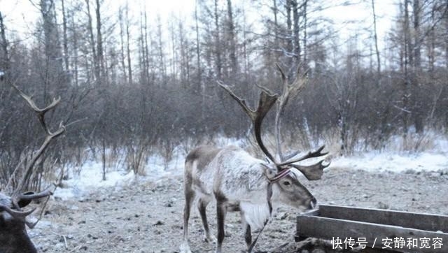 我国最早进入冬天的四座旅游城市：此时已达零下，必须穿毛裤了