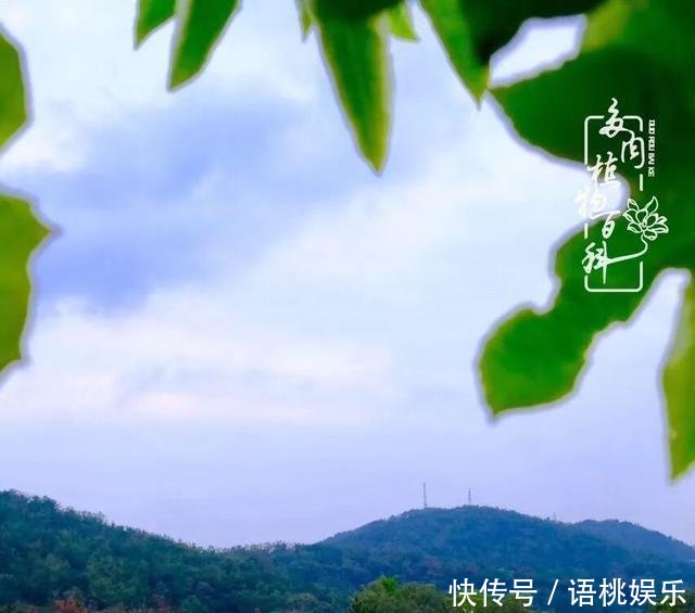  #喜欢#一粥一饭填饱肚子，一屋一花神仙日子！生命不止，玩趣不停！