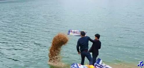  【经验】钓鱼的最佳时间是什么时候？多年经验的钓手告诉你