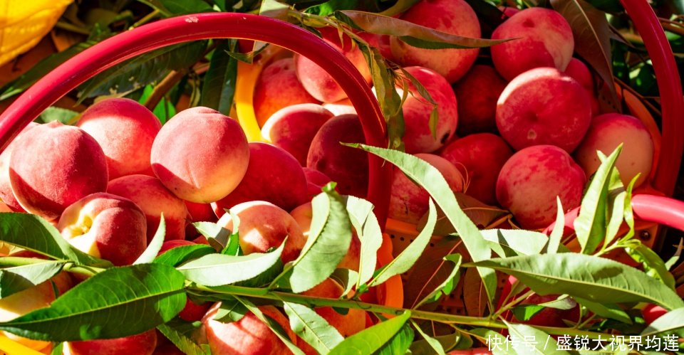 泾渭分明到底泾河浊还是渭河浊泾川田家沟有话说