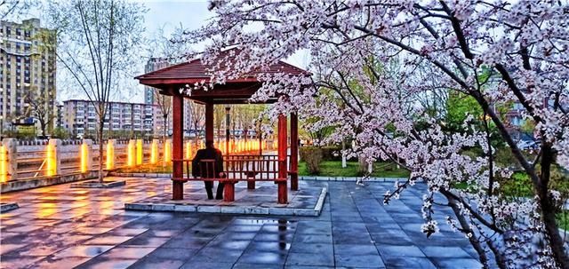  花儿：图集丨?花儿缀满枝头，醉了靖宇山城