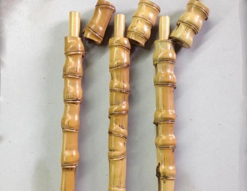  『竹子』罗汉竹、紫竹、雷竹、毛竹都长啥样？