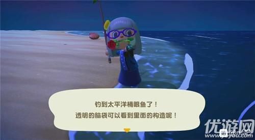  『森友』动物森友会太平洋桶眼鱼获取方法介绍