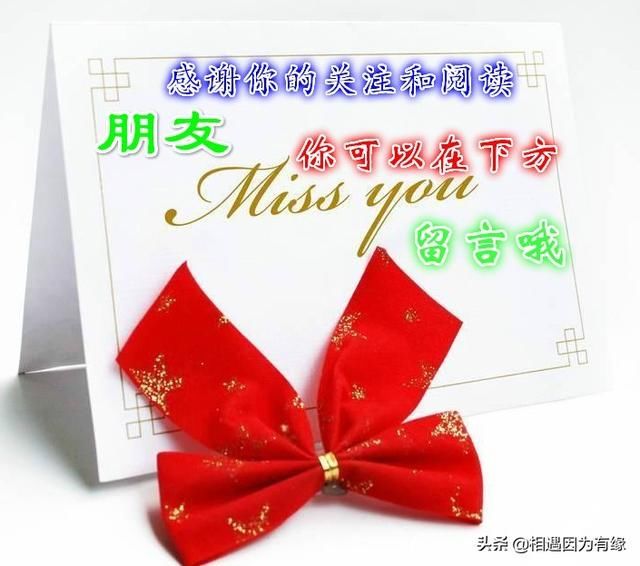 也许只是一个静谧的小院， 就能成全你的梦想