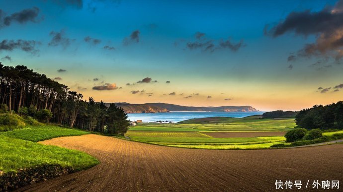 想技术移民?护理专业在这些国家紧缺程度十级