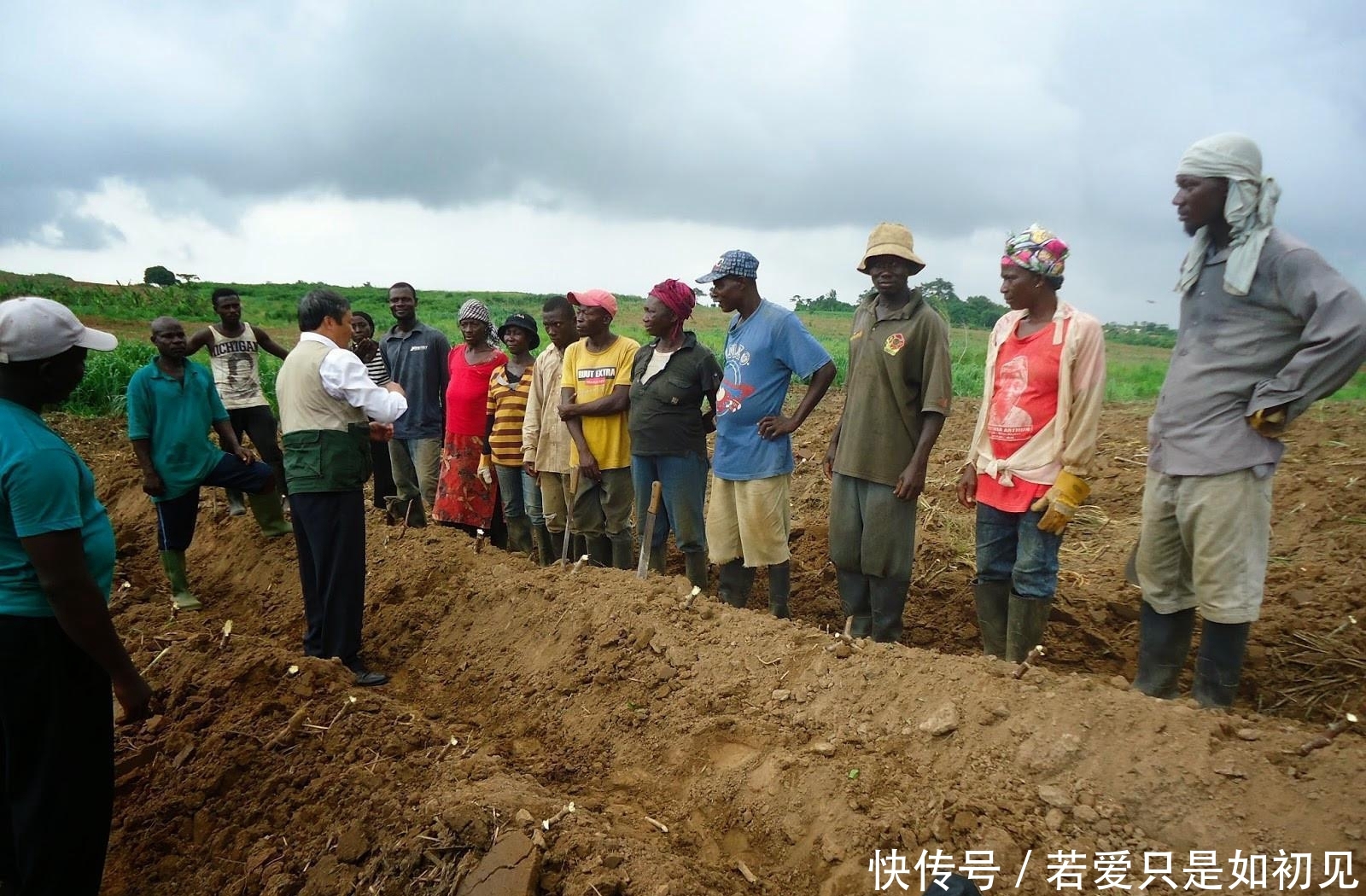 「玉米」中国人在非洲土地上种向日葵被非洲人嘲笑，尝到甜头后