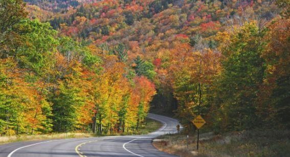 十大最令人惊叹的美国公路之旅