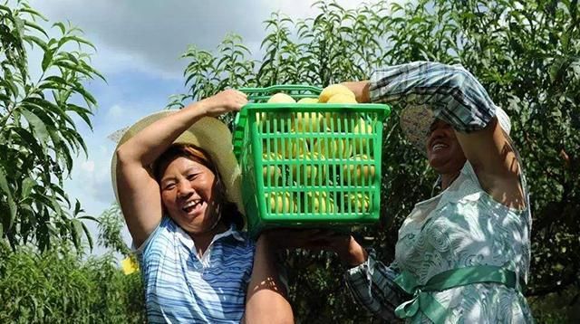  吃香■3年内，这几个项目在农村很吃香，年赚10万不难