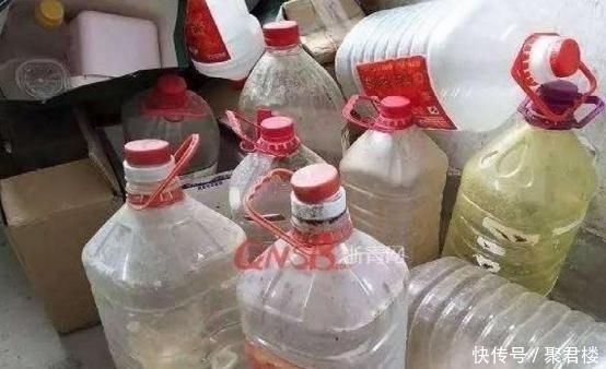  [营养]“废油桶”当花盆用来种辣椒，7天就发芽，1个月丰收，能吃2个月
