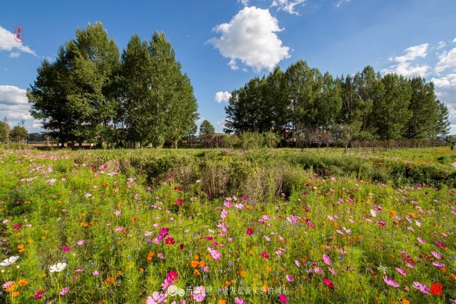 风吹草低见牛羊 说的就是这儿