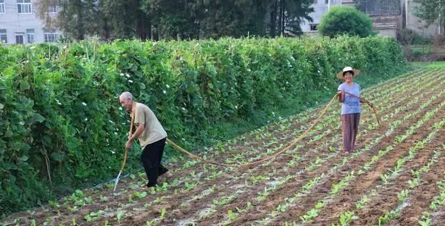  调整■2020年农业补贴将重新调整，这些农民能看看你有没有？