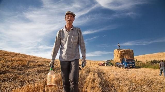  #70后的农民#农村70后，都快“奔五”了，3件事却仍放不下，农民