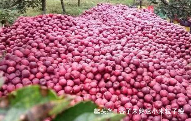  帮忙■一个月前已滞销，众多网帮忙销售，现在还没卖完，问题出