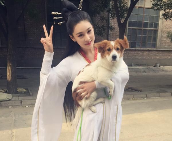 双喜临门：领证后张馨予确认怀孕，送走爱犬安心养胎，坐实传言