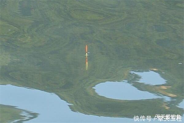 『支撑力』调漂之道在于找底,如何判断是否到底?是一饵到底,还是双饵到底