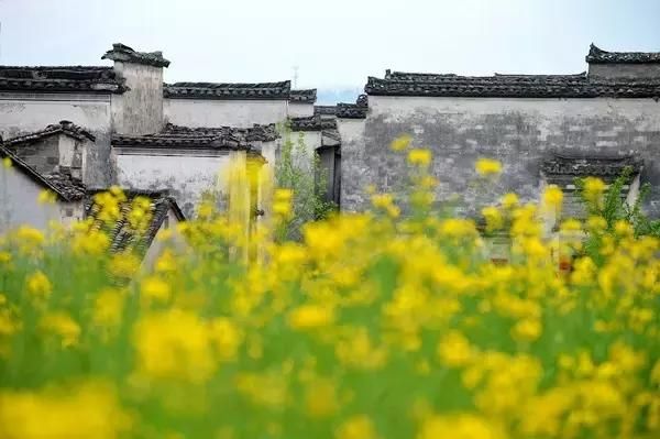 【图文】中式建筑“六大顶尖门派”，惊艳世人！