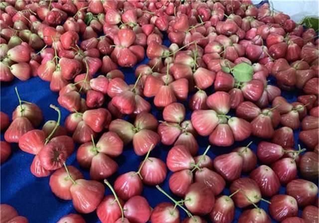  神话：高价多年神话破灭，如今跌至9.9元，种植户：种的多，吃的