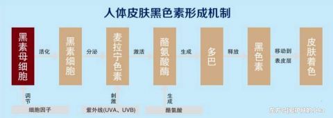  化学防晒：防晒霜不防晒黑？如果你涂了防晒还是变黑，那可能是做错了这2点
