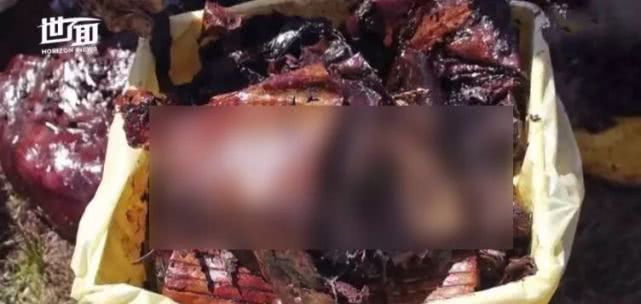 逼疯上海人的“垃圾分类”背后，藏着14亿中国人不知道的残忍真相