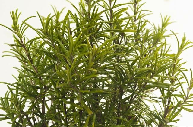 毛孔粗大的朋友有救了！竟然用3招就能拥有零毛孔，知道晚了