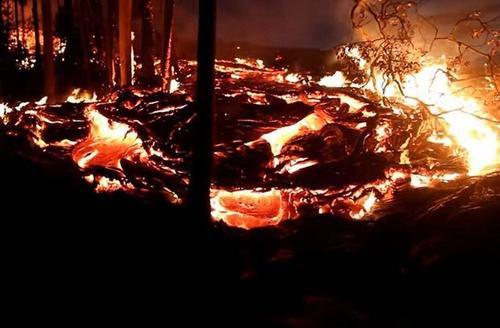 夏威夷活火山喷发 熔浆吞噬森林