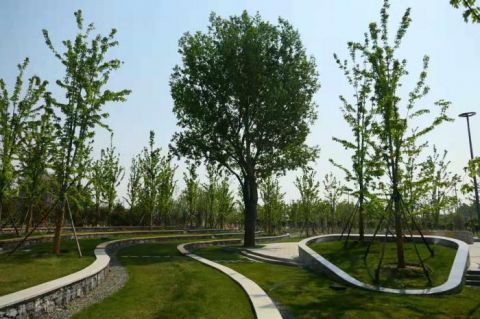  『郊野』视点 | 北京朝阳杜仲公园二期”五一“开园 孙河郊野公园等将陆续开放