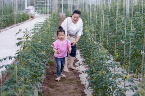  [快乐]视窗｜重庆：智慧农场里的快乐假期