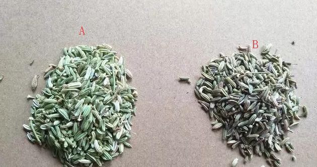 #卤水#揭秘无良香料商家坑人六种方法，五步骤法教你鉴别卤水常用香料！