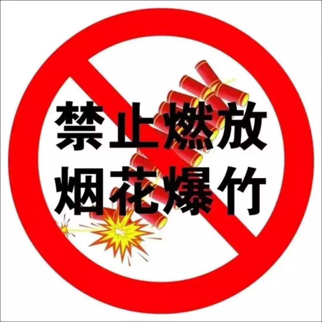 连城警方查处首起违规燃放烟花爆竹案