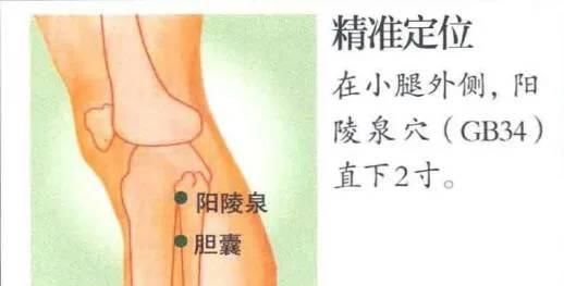  『疼痛』胆结石的饮食预防和艾灸调理