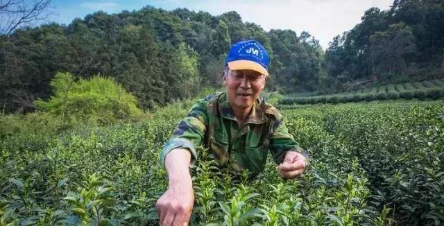 农村2大特色产业将会崛起，抓住机遇，发家致富并不难