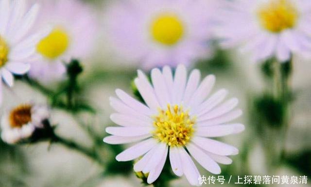  「心痛」有一种深爱，叫不能相伴一生，思念到心痛
