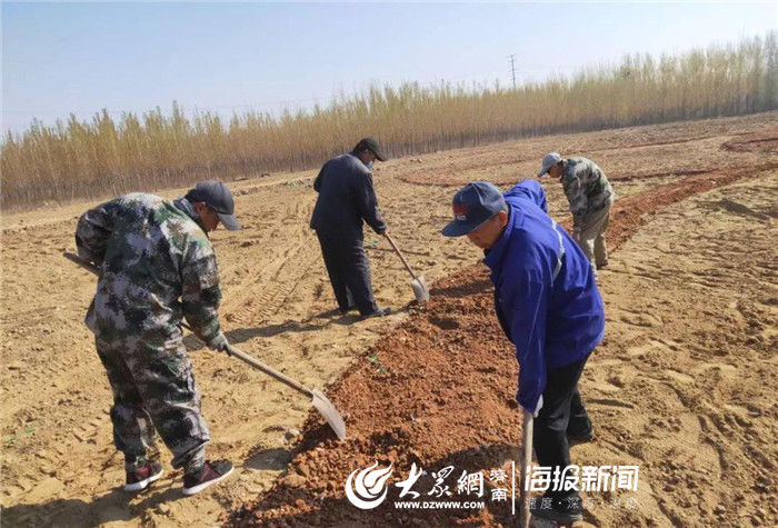  【工作】槐荫区吴家堡街道石佛屯村四十亩荒地完成复耕