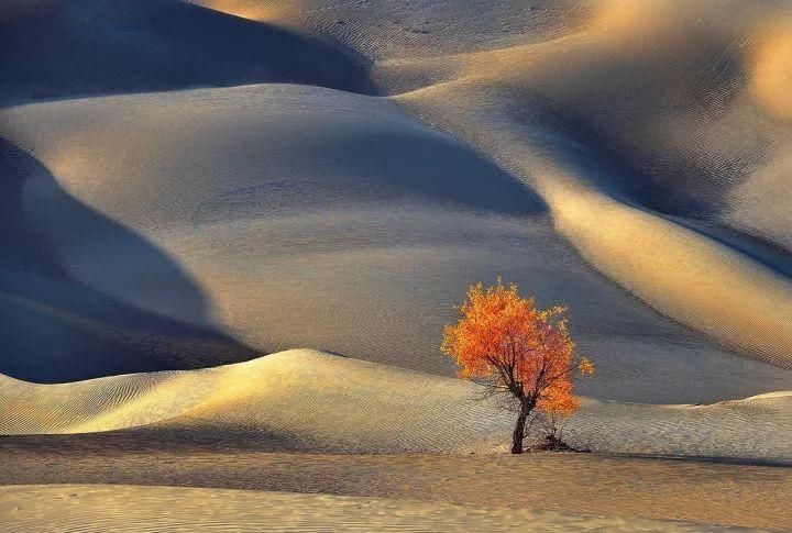 干涸成“地球巨耳” 罗布泊发生过什么