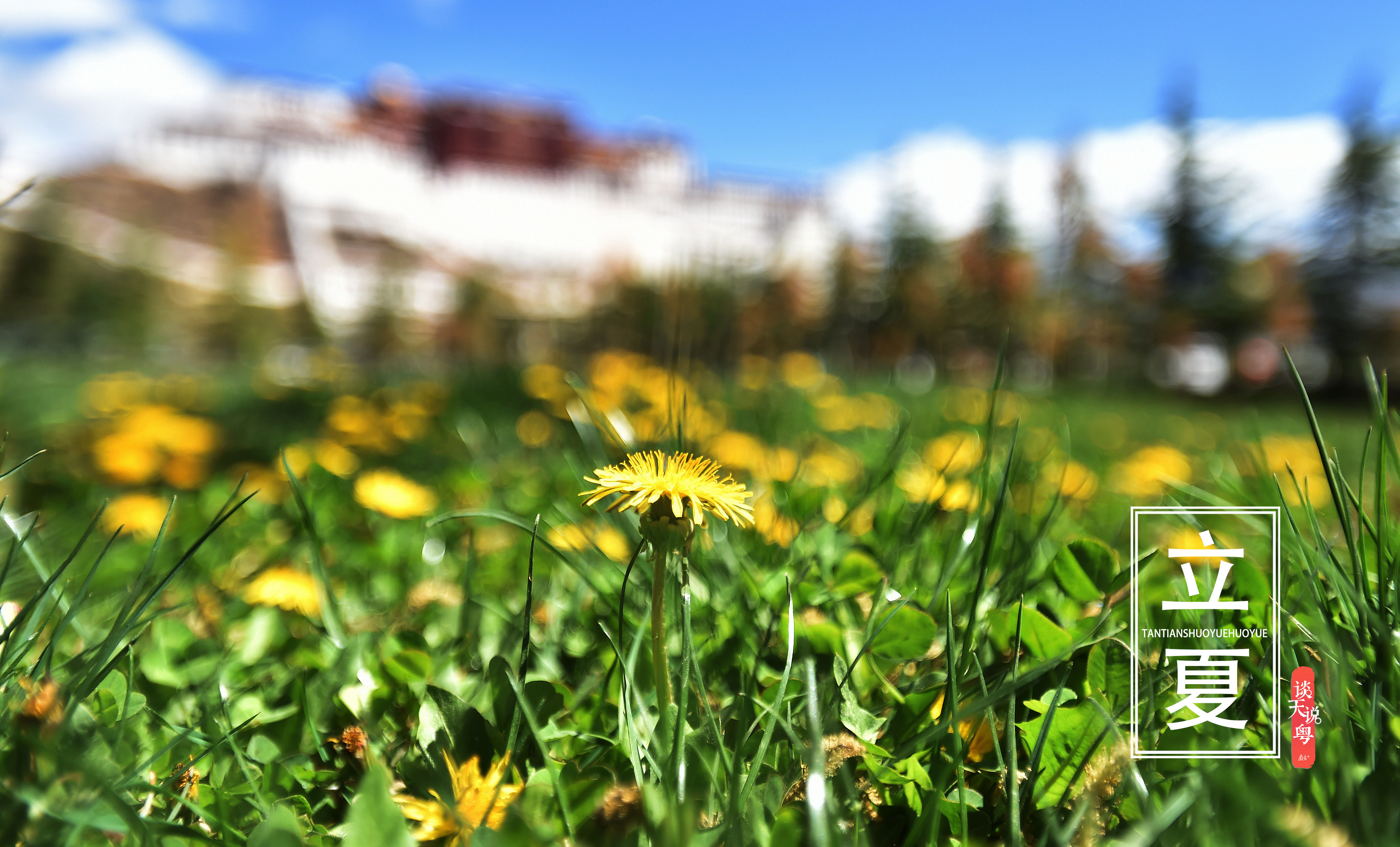  『立夏时节』谈天说粤|今日立夏：广东最高温36℃！护阳养心是重点