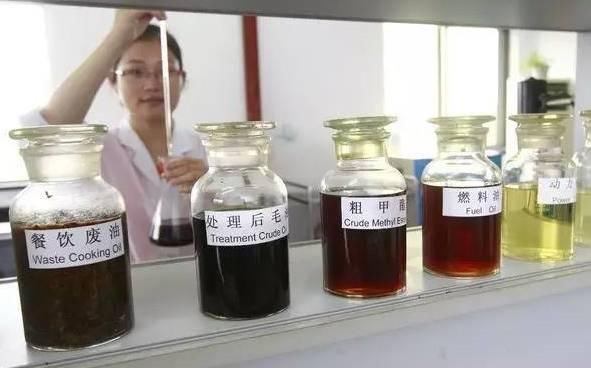 谣言盘点!大蒜可检地沟油?吃活蝌蚪可治百病?