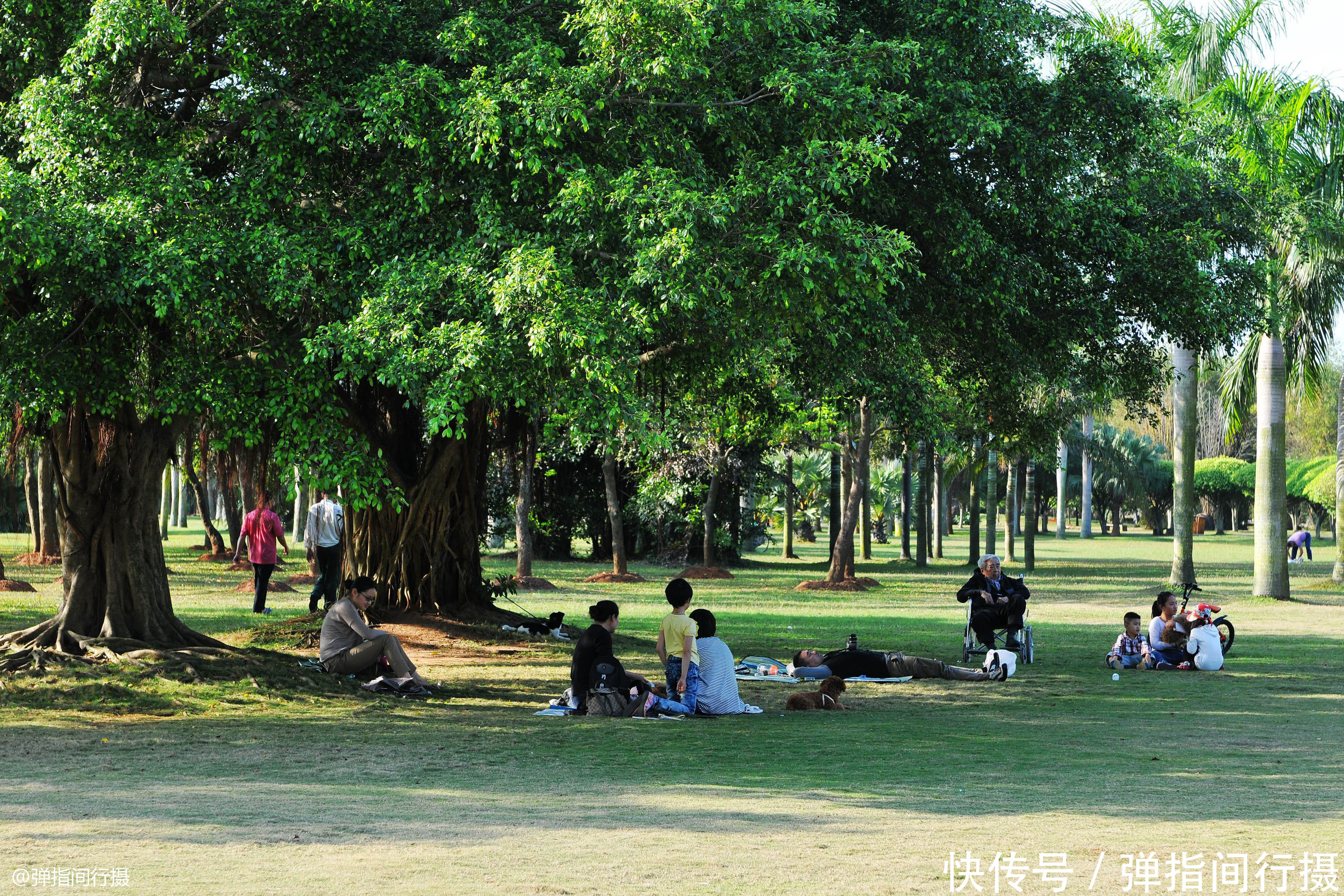 中国十大“幸福城市”，海南海口又上榜，网友褒贬不一