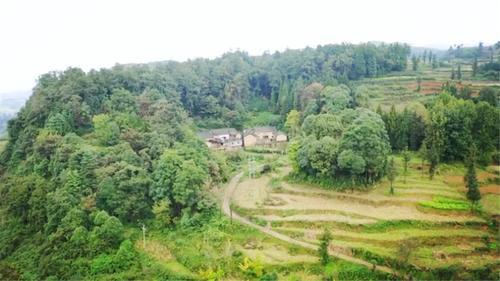 云南深山老林里藏着古院落，只有几户人家，风景优美人迹罕至