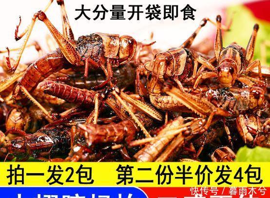  蝗虫|警惕！4000亿蝗虫来袭，这一次油炸真不管用！