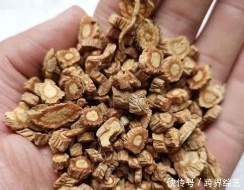  [身体]这三味中药，给你的身体加一道防御病邪的屏障