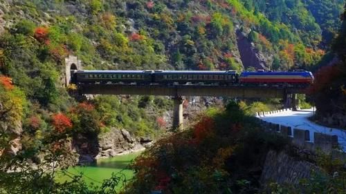 秦岭私藏2条自驾公路,秋季美成天堂,霸占北方最绚烂秋景